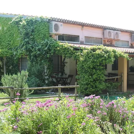 Borgo S.maria Di Vulci *